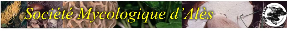 Société Mycologique d’Alès