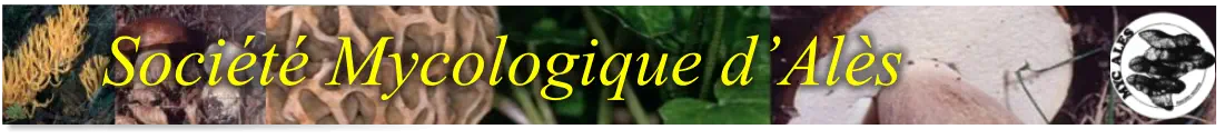 Société Mycologique d’Alès