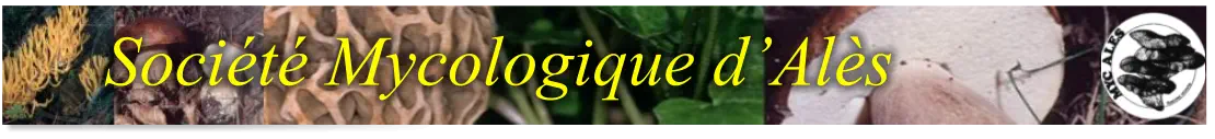 Société Mycologique d’Alès