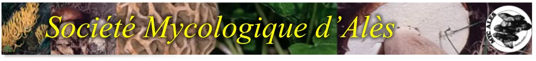 Société Mycologique d’Alès