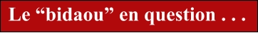 Le “bidaou” en question . . .