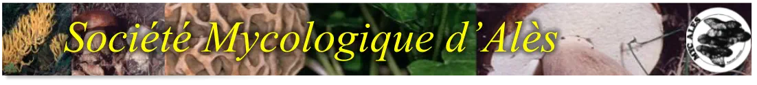 Société Mycologique d’Alès