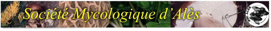 Société Mycologique d’Alès