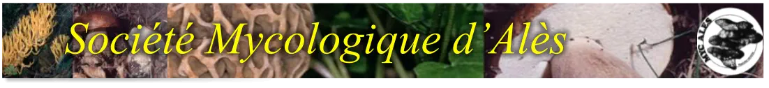 Société Mycologique d’Alès