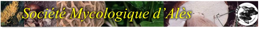 Société Mycologique d’Alès