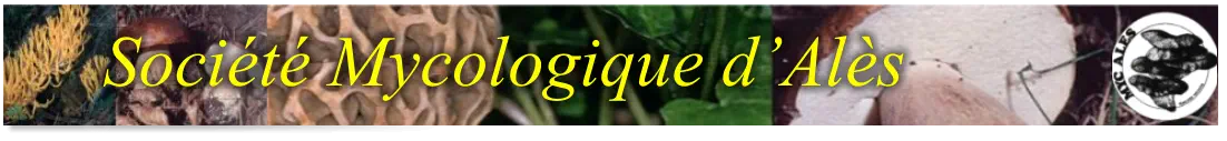 Société Mycologique d’Alès