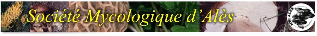Société Mycologique d’Alès
