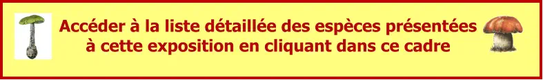 Accéder à la liste détaillée des espèces présentées à cette exposition en cliquant dans ce cadre