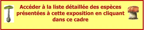 Accéder à la liste détaillée des espèces présentées à cette exposition en cliquant dans ce cadre