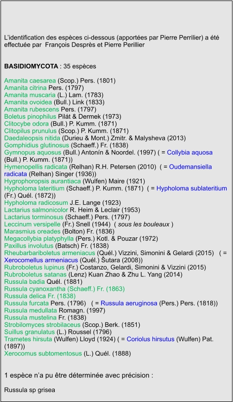 L’identification des espèces ci-dessous (apportées par Pierre Perrilier) a été effectuée par  François Desprès et Pierre Perillier   BASIDIOMYCOTA : 35 espèces  Amanita caesarea (Scop.) Pers. (1801) Amanita citrina Pers. (1797) Amanita muscaria (L.) Lam. (1783) Amanita ovoidea (Bull.) Link (1833) Amanita rubescens Pers. (1797) Boletus pinophilus Pilát & Dermek (1973) Clitocybe odora (Bull.) P. Kumm. (1871) Clitopilus prunulus (Scop.) P. Kumm. (1871) Daedaleopsis nitida (Durieu & Mont.) Zmitr. & Malysheva (2013) Gomphidius glutinosus (Schaeff.) Fr. (1838) Gymnopus aquosus (Bull.) Antonín & Noordel. (1997) ( = Collybia aquosa (Bull.) P. Kumm. (1871)) Hymenopellis radicata (Relhan) R.H. Petersen (2010)  ( = Oudemansiella radicata (Relhan) Singer (1936)) Hygrophoropsis aurantiaca (Wulfen) Maire (1921) Hypholoma lateritium (Schaeff.) P. Kumm. (1871)  ( = Hypholoma sublateritium (Fr.) Quél. (1872)) Hypholoma radicosum J.E. Lange (1923) Lactarius salmonicolor R. Heim & Leclair (1953) Lactarius torminosus (Schaeff.) Pers. (1797) Leccinum versipelle (Fr.) Snell (1944)  ( sous les bouleaux ) Marasmius oreades (Bolton) Fr. (1836) Megacollybia platyphylla (Pers.) Kotl. & Pouzar (1972) Paxillus involutus (Batsch) Fr. (1838) Rheubarbariboletus armeniacus (Quél.) Vizzini, Simonini & Gelardi (2015)   ( = Xerocomellus armeniacus (Quél.) Šutara (2008)) Rubroboletus lupinus (Fr.) Costanzo, Gelardi, Simonini & Vizzini (2015) Rubroboletus satanas (Lenz) Kuan Zhao & Zhu L. Yang (2014) Russula badia Quél. (1881) Russula cyanoxantha (Schaeff.) Fr. (1863) Russula delica Fr. (1838) Russula furcata Pers. (1796)   ( = Russula aeruginosa (Pers.) Pers. (1818)) Russula medullata Romagn. (1997) Russula mustelina Fr. (1838) Strobilomyces strobilaceus (Scop.) Berk. (1851) Suillus granulatus (L.) Roussel (1796) Trametes hirsuta (Wulfen) Lloyd (1924) ( = Coriolus hirsutus (Wulfen) Pat. (1897)) Xerocomus subtomentosus (L.) Quél. (1888)   1 espèce n’a pu être déterminée avec précision :  Russula sp grisea